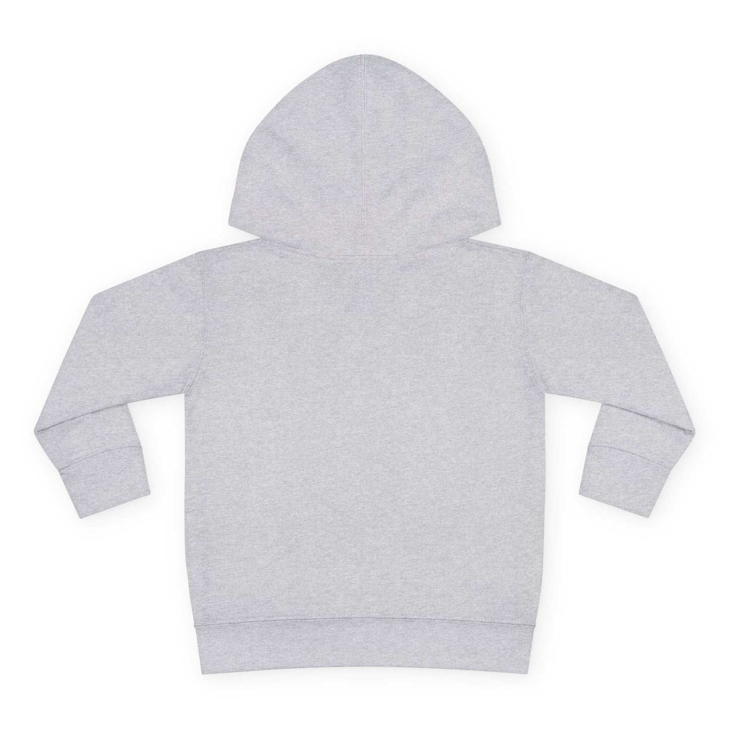 Give A Hoot - Just Include - Retro PSA Style - Toddler Unisex Hoodie