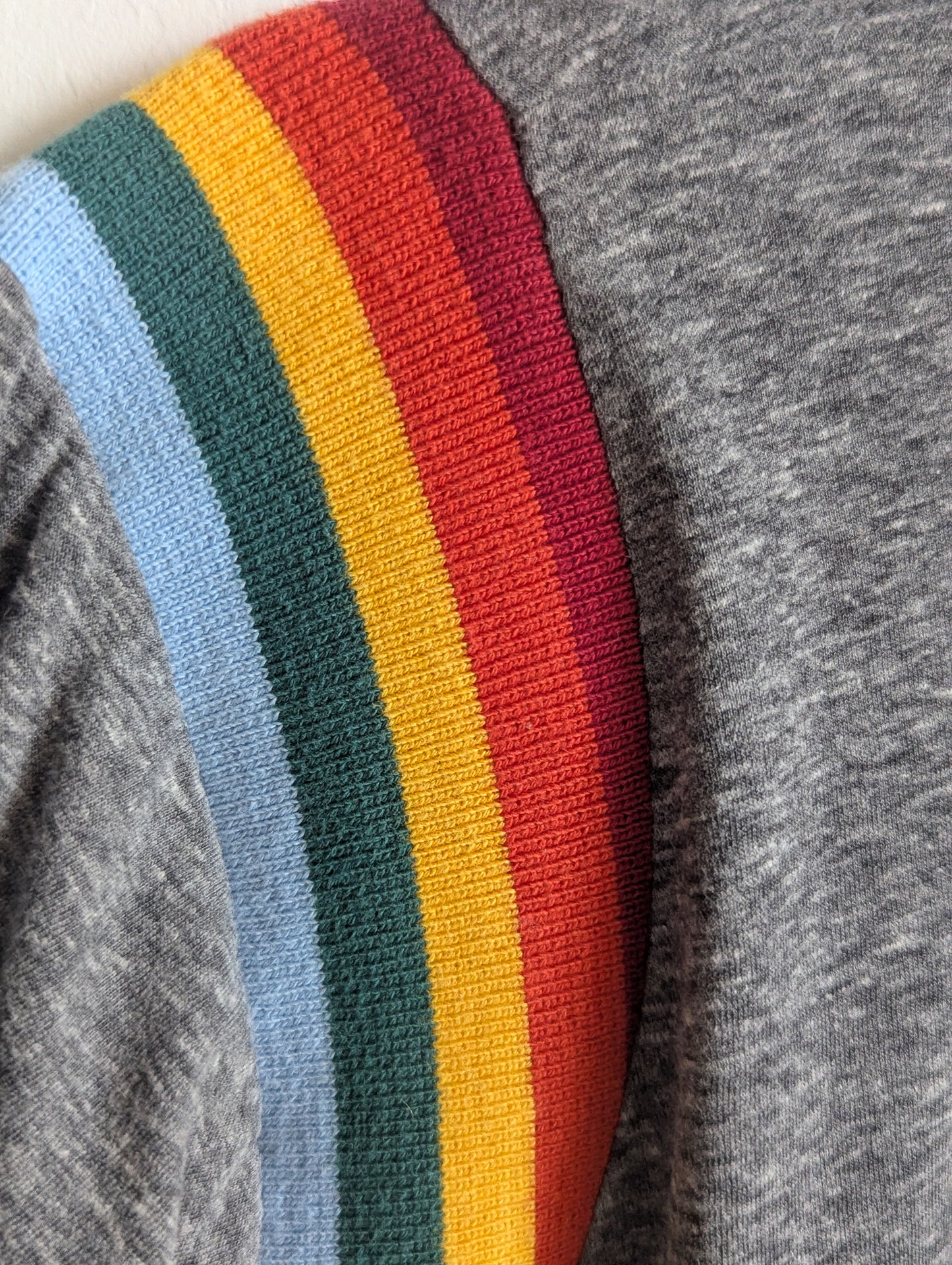 Care About Disability Rights - Adult Unisex Rainbow Contrast Ribbing Tee - Repurposed Rebels