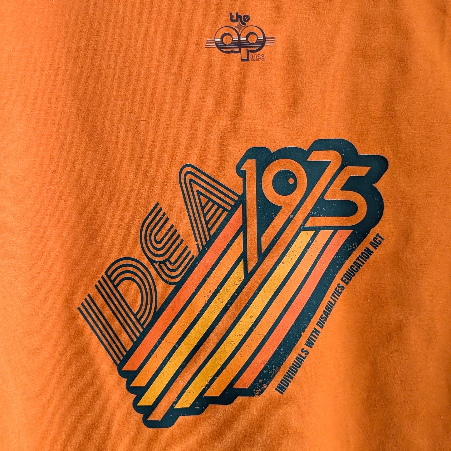 1975 IDEA - Individuals with Disabilities Education Act - Women's Fitted V-Neck Fitted Baby Tee (L) - Repurposed Rebels