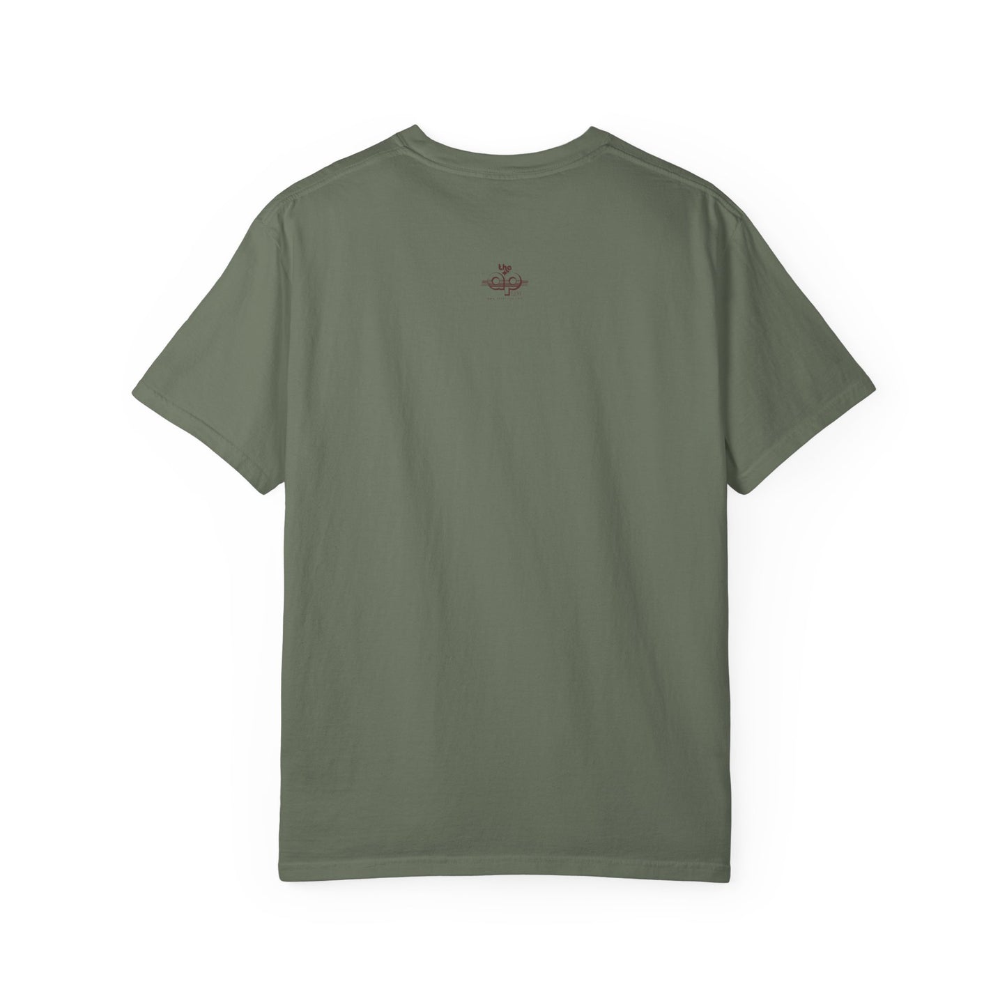 IDEA - 1975 - Individuals with Disabilities Education Act - Unisex Garment-Dyed T-shirt