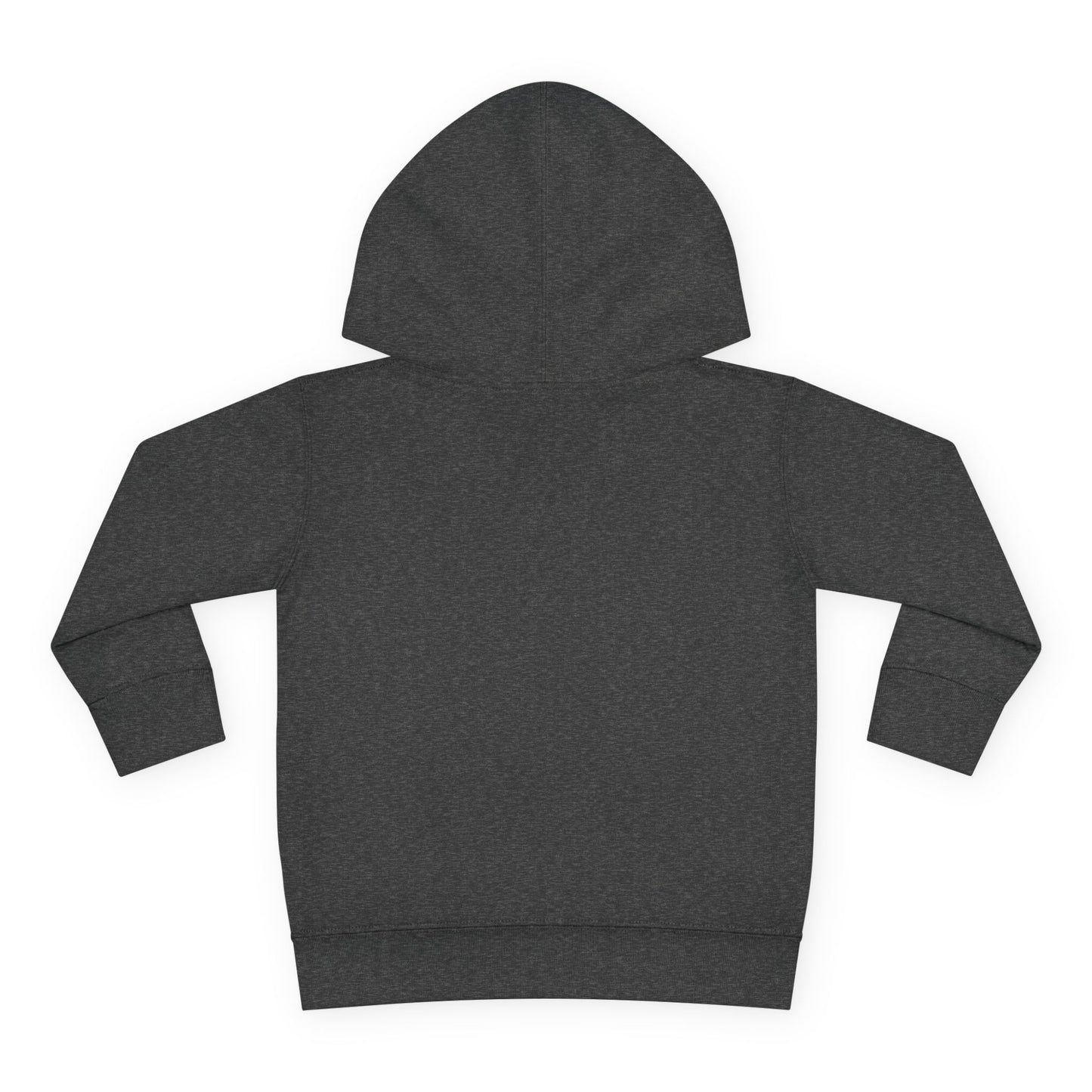 You Gotta Be Down With These Chromie 'Zomes DS Awareness - Toddler Pullover Fleece Hoodie