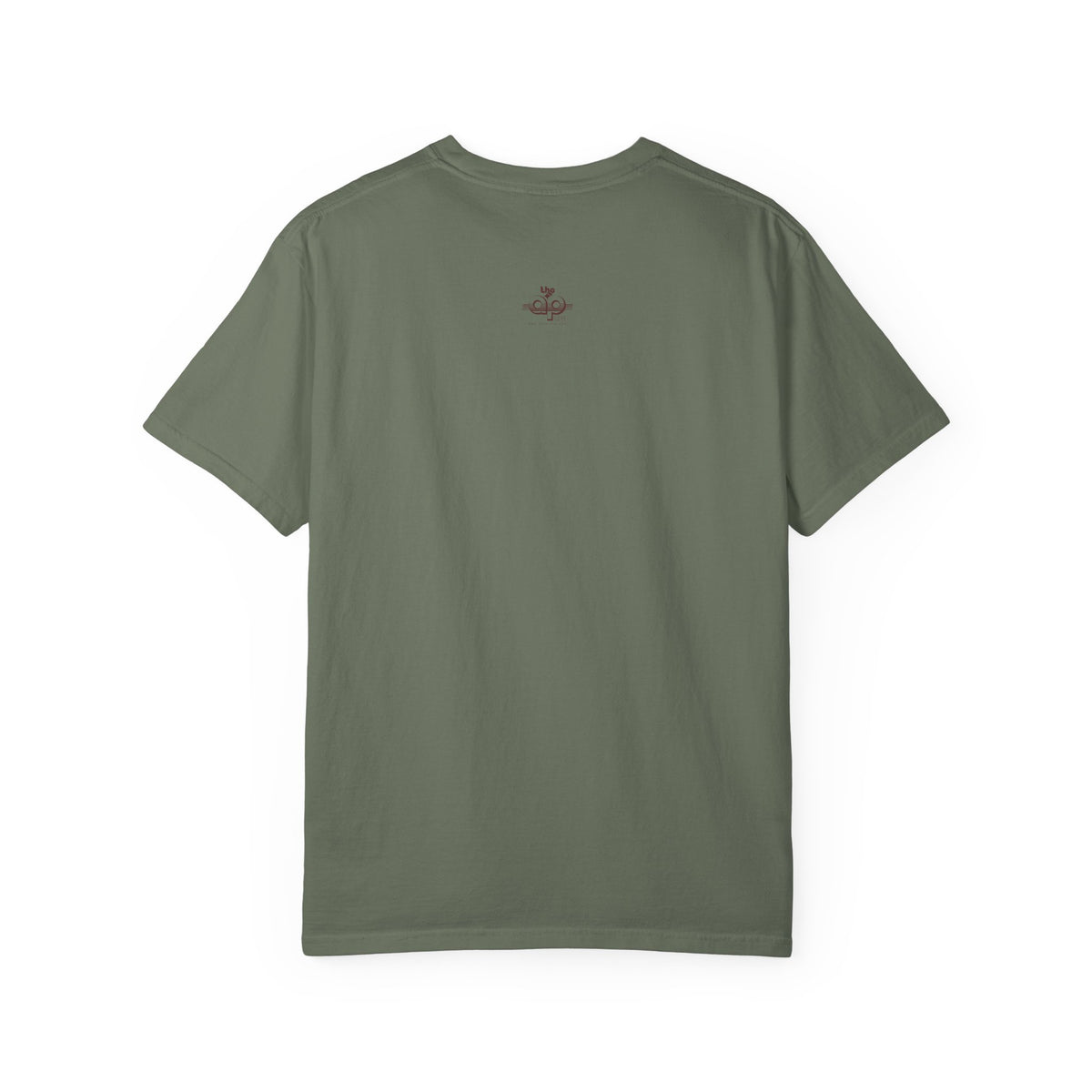 IDEA - 1975 - Individuals with Disabilities Education Act - Unisex Garment-Dyed T-shirt