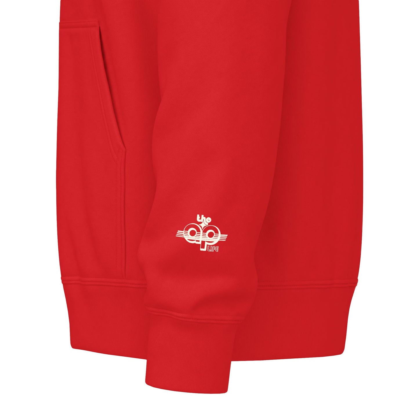Say Anything - AAC- Lilly's Voice + The AP Life - Adult Unisex Zip Hoodie