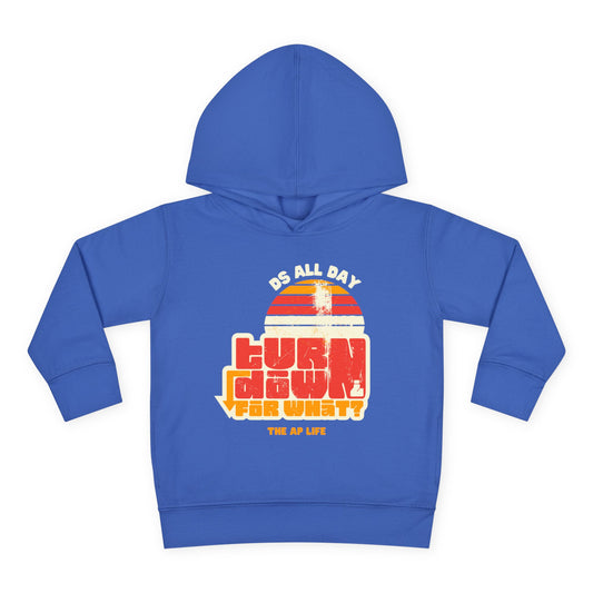 DS All Day (Turn Down For What?) DS Awareness - Toddler Pullover Fleece Hoodie