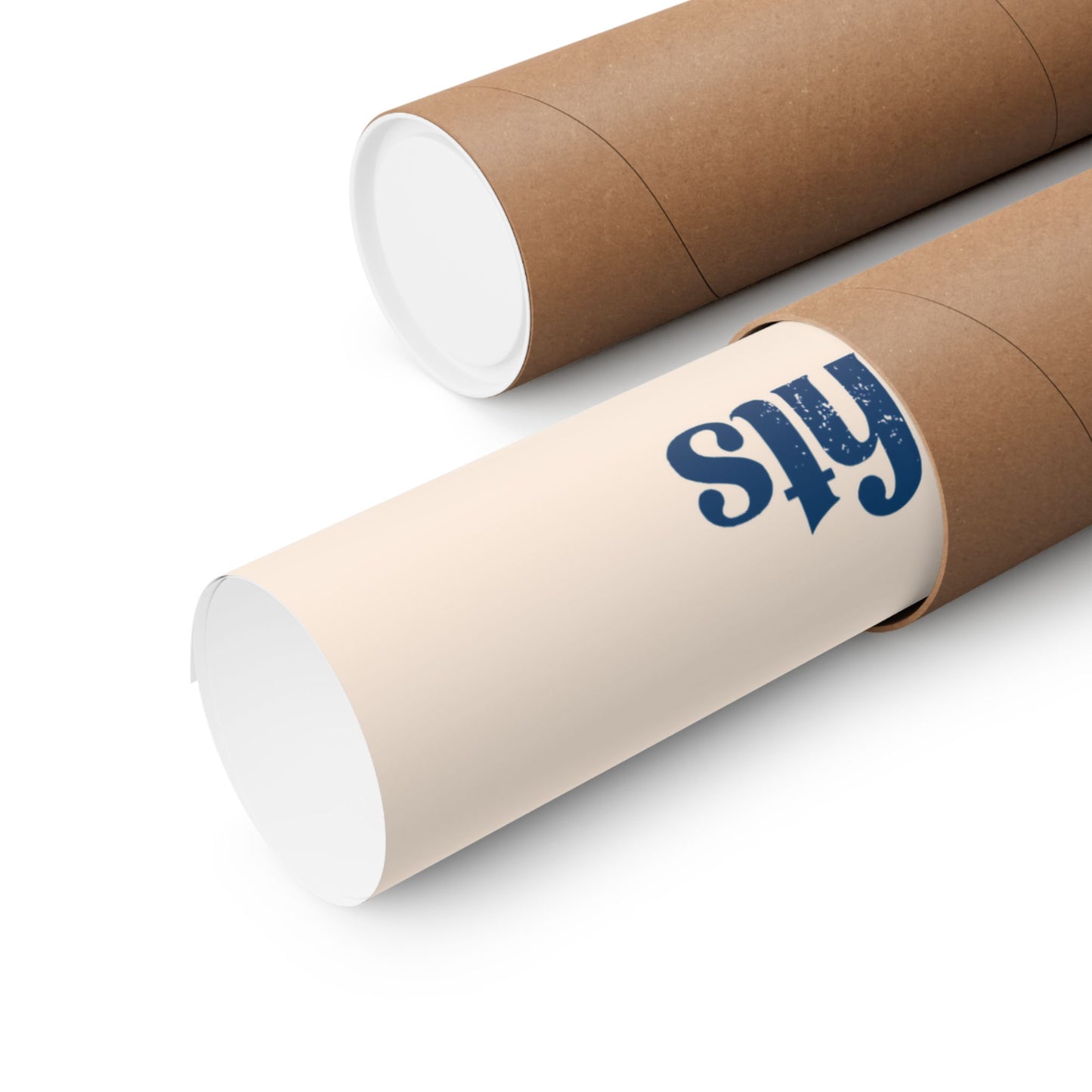 Care About Disability Rights - Matte Vertical Poster