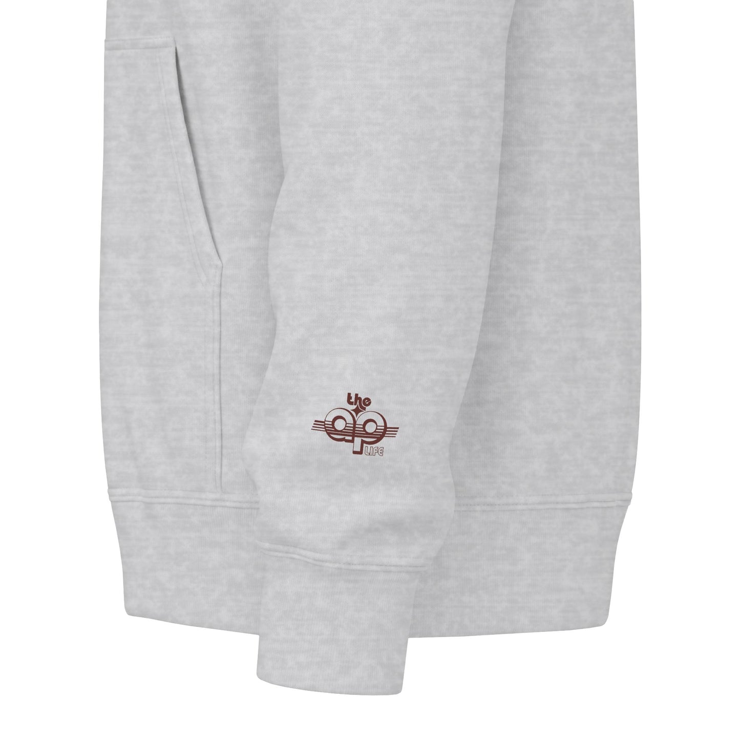 Say Anything - AAC- Lilly's Voice + The AP Life - Adult Unisex Zip Hoodie