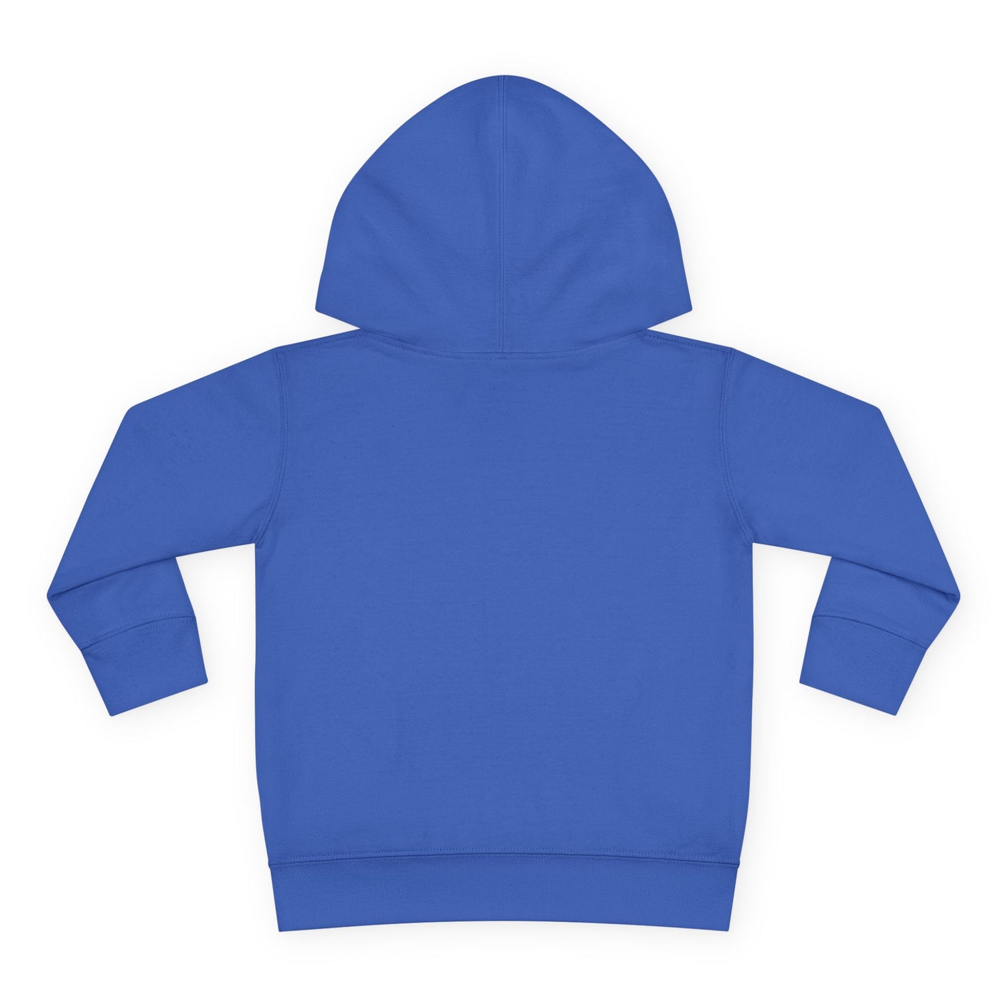 Top Chrom Highway to the Chromo-Zone DS Awareness - Toddler Pullover Fleece Hoodie