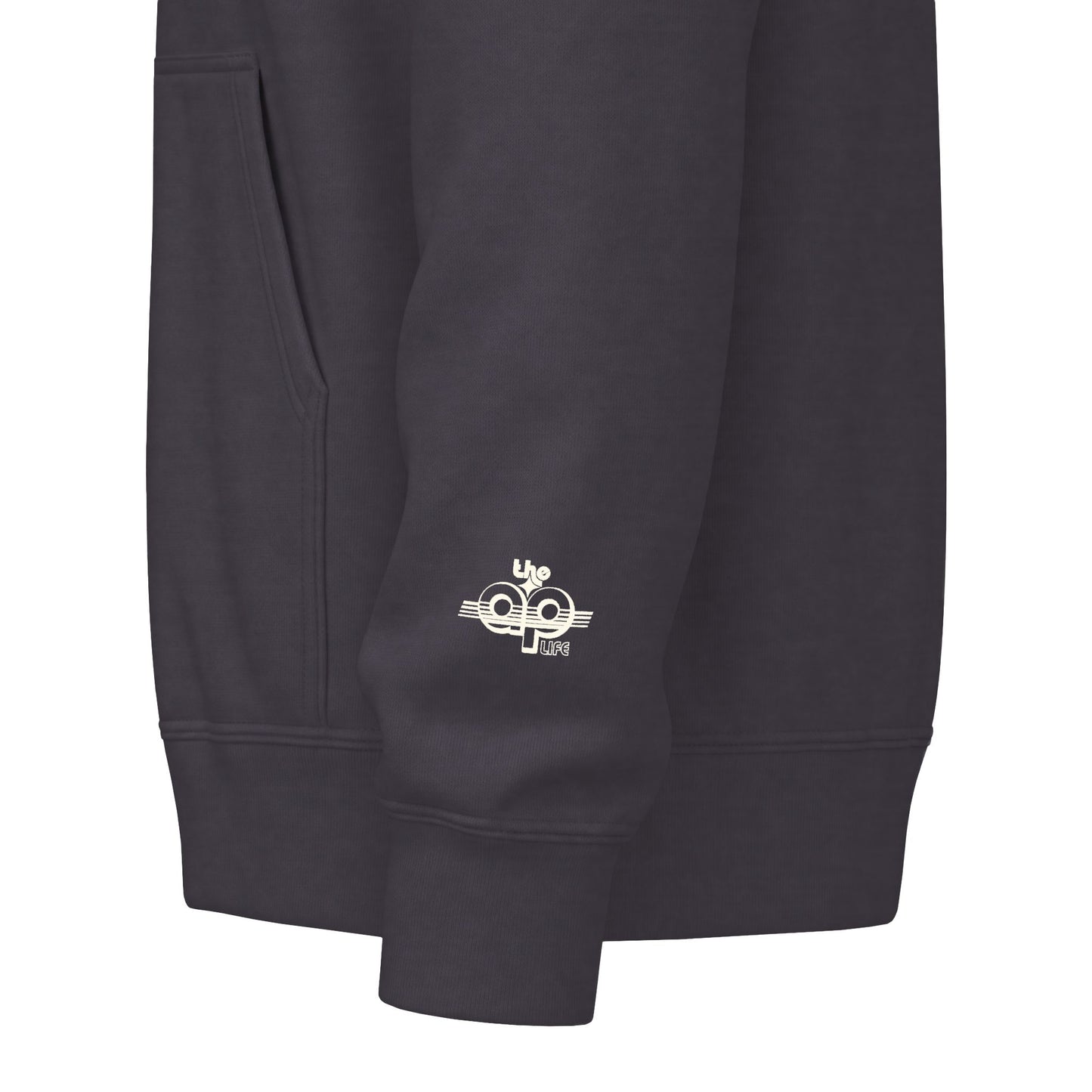 Say Anything - AAC- Lilly's Voice + The AP Life - Adult Unisex Zip Hoodie