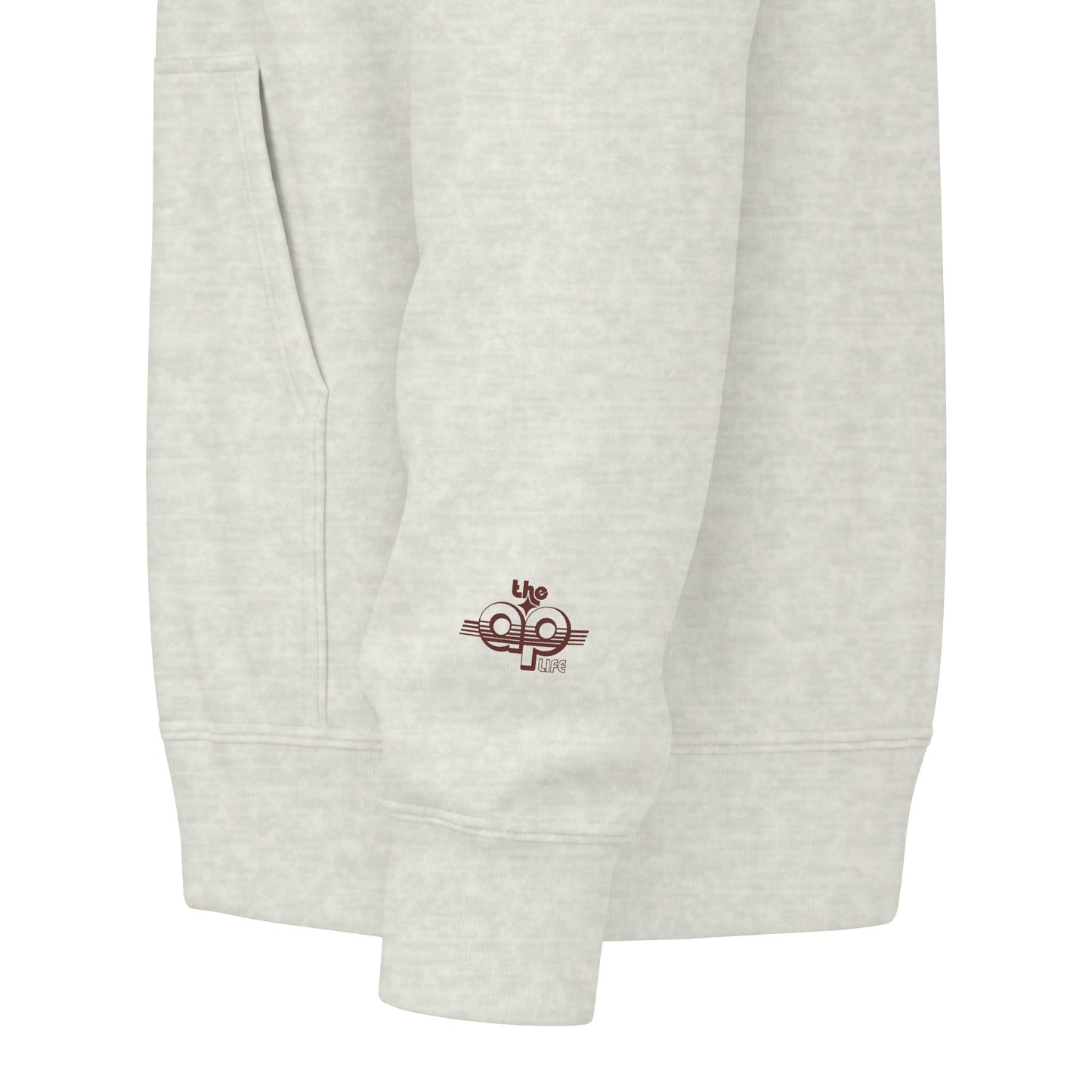 Say Anything - AAC- Lilly's Voice + The AP Life - Adult Unisex Zip Hoodie