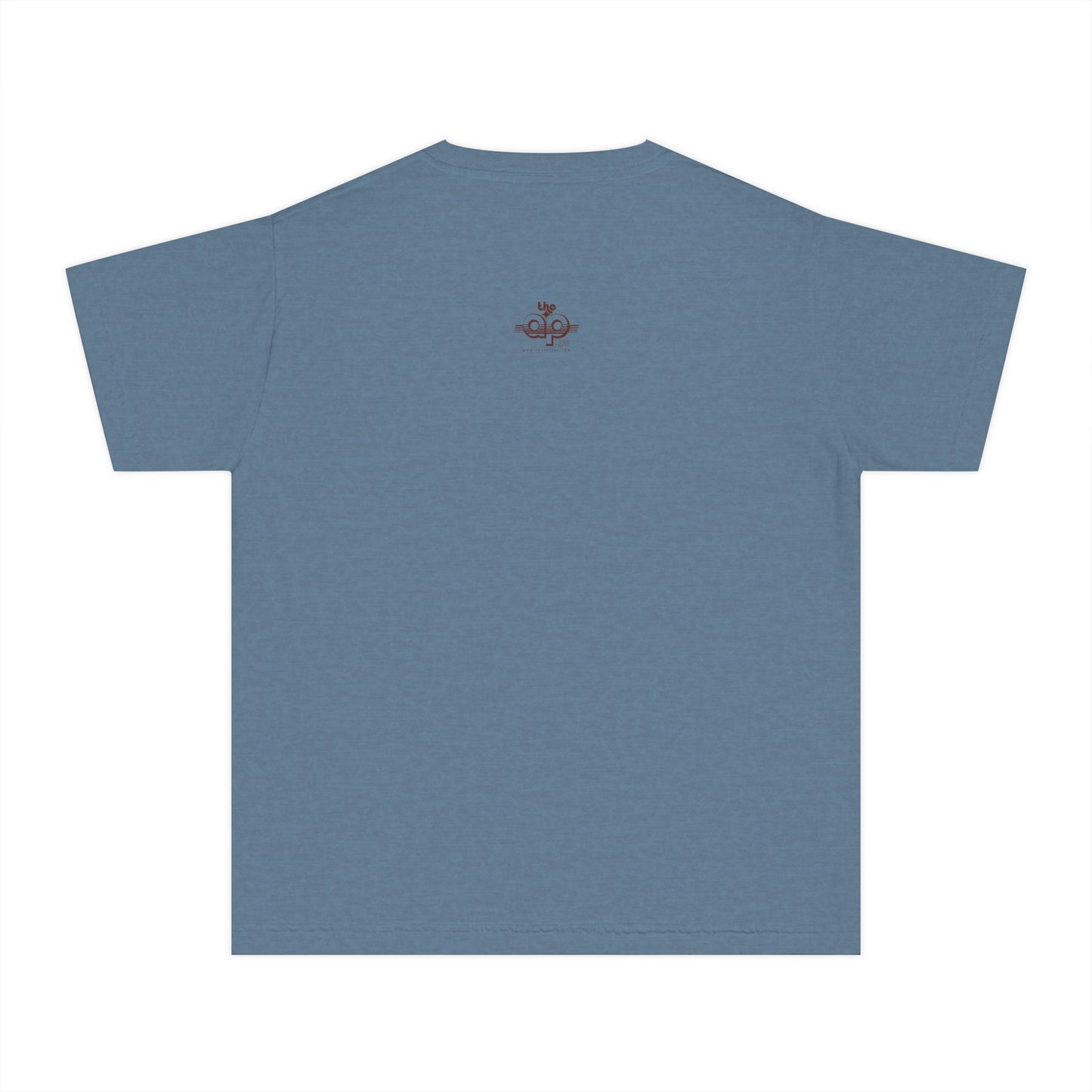 IDEA - 1975 - Individuals with Disabilities Education Act - Youth Unisex Midweight Tee