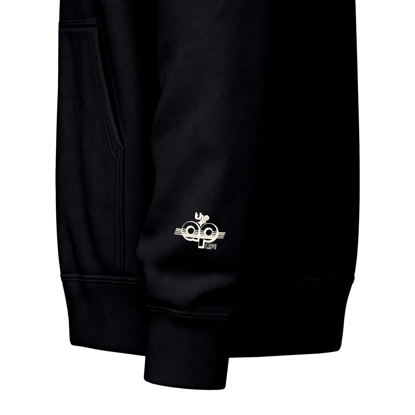 Say Anything - AAC- Lilly's Voice + The AP Life - Adult Unisex Zip Hoodie