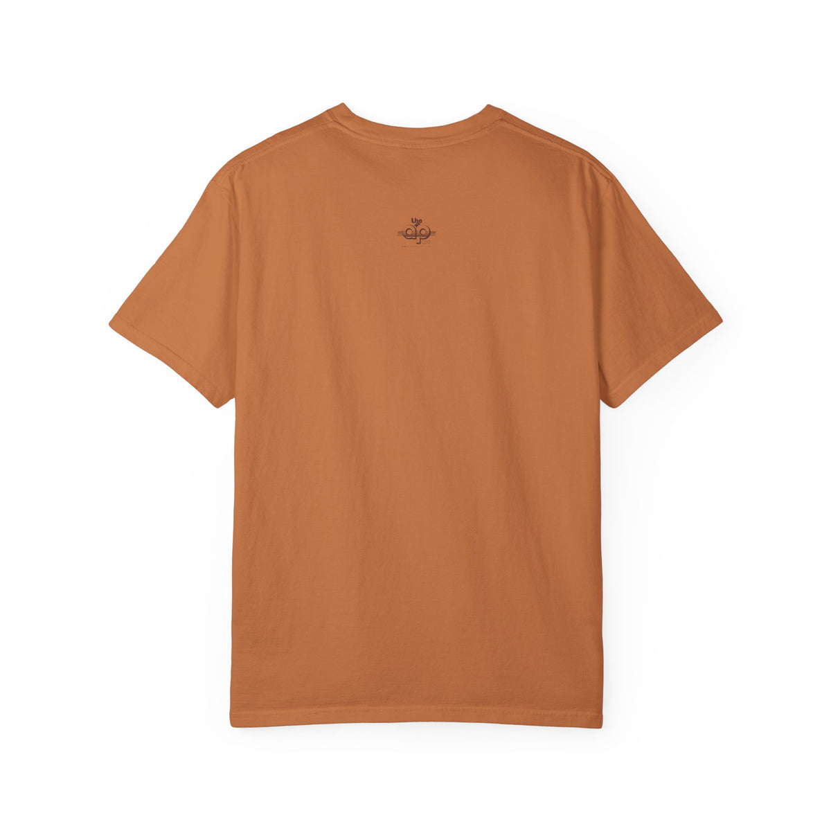IDEA - 1975 - Individuals with Disabilities Education Act - Unisex Garment-Dyed T-shirt