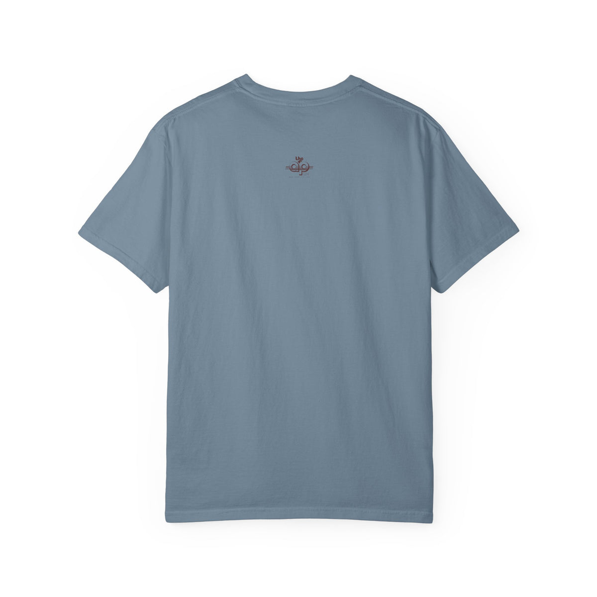 IDEA - 1975 - Individuals with Disabilities Education Act - Unisex Garment-Dyed T-shirt
