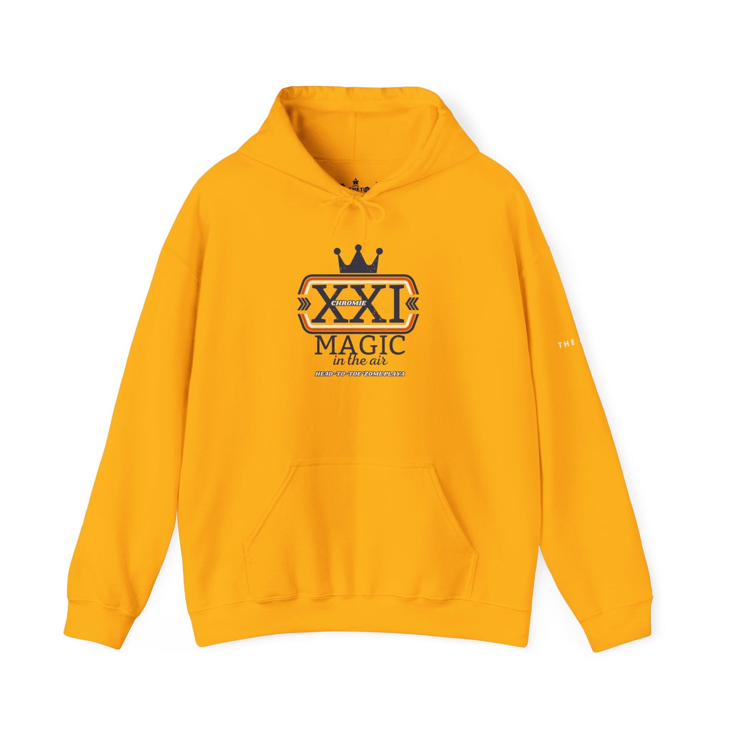 21 Chromie Magic in the Air (Head-to-Toe 'Zome Playa) - DS Awareness - Adult Unisex Hoodie