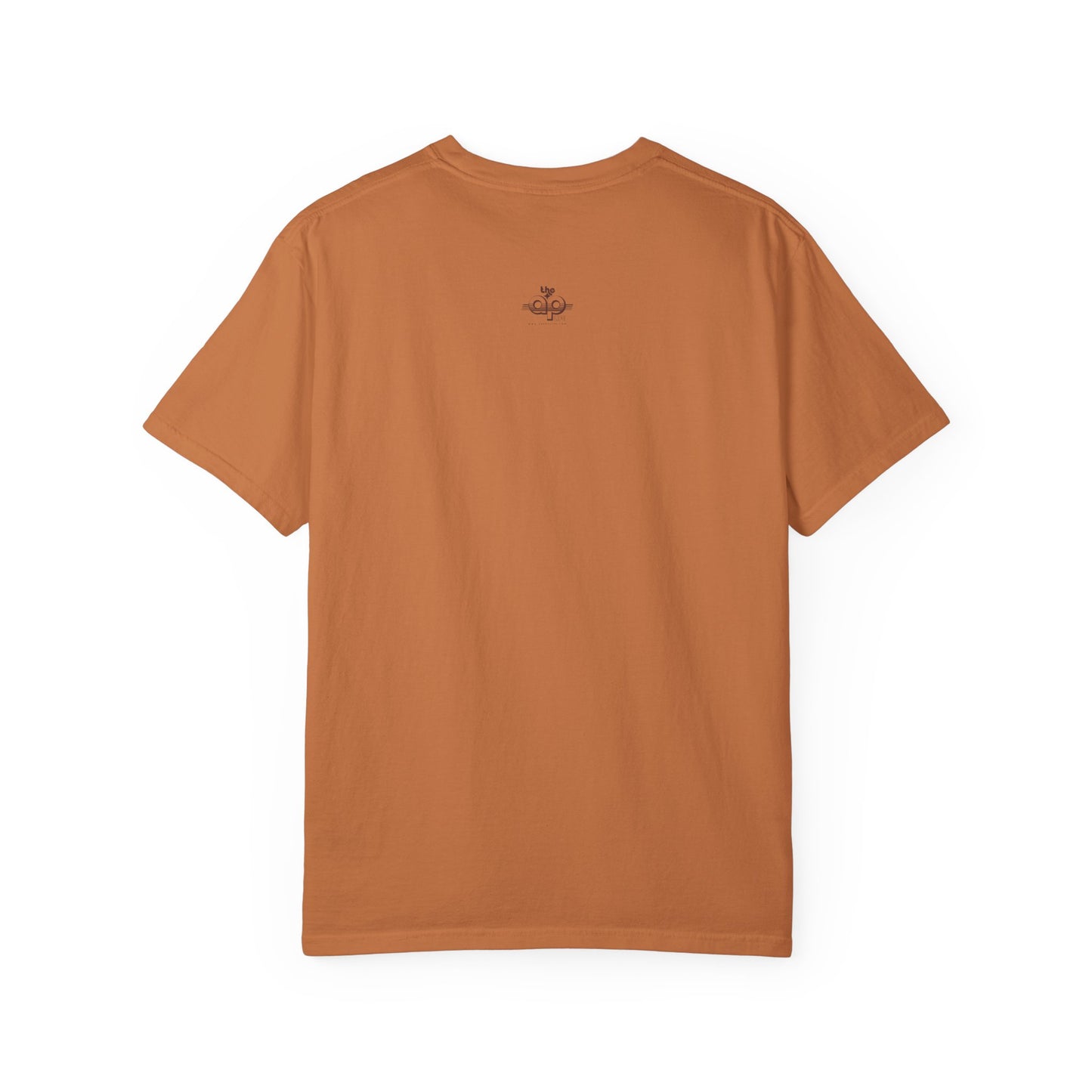 IDEA - 1975 - Individuals with Disabilities Education Act - Unisex Garment-Dyed T-shirt