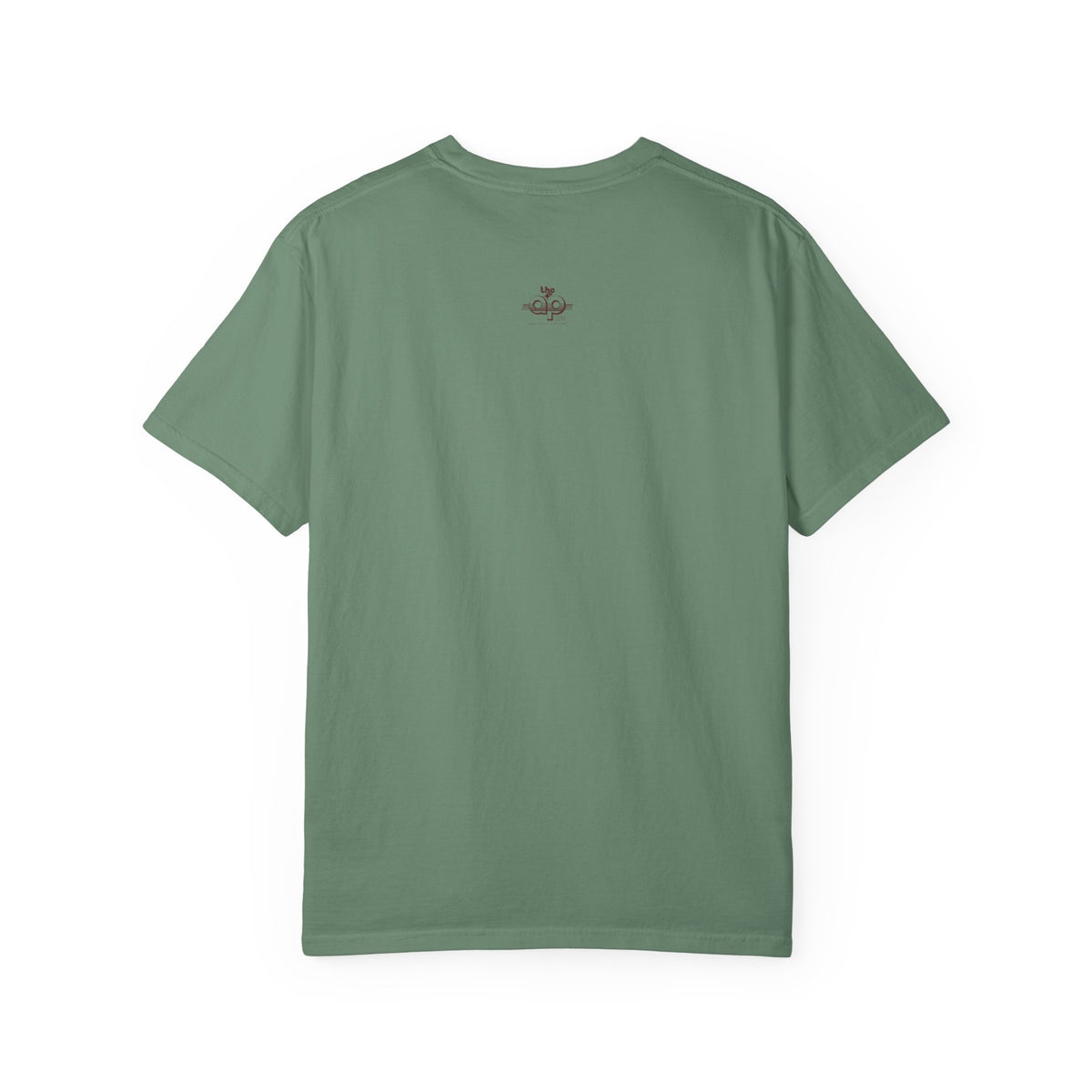 IDEA - 1975 - Individuals with Disabilities Education Act - Unisex Garment-Dyed T-shirt