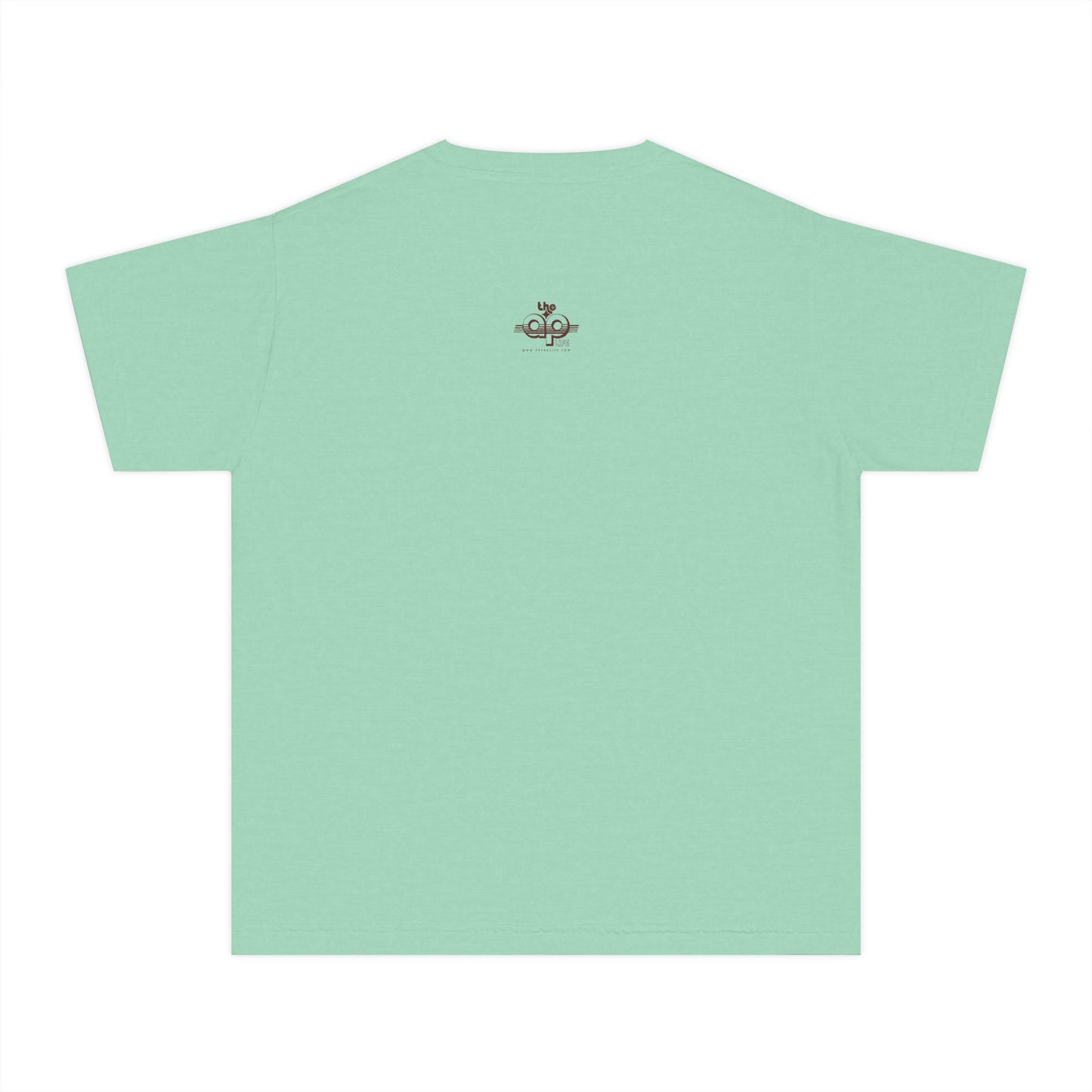 IDEA - 1975 - Individuals with Disabilities Education Act - Youth Unisex Midweight Tee