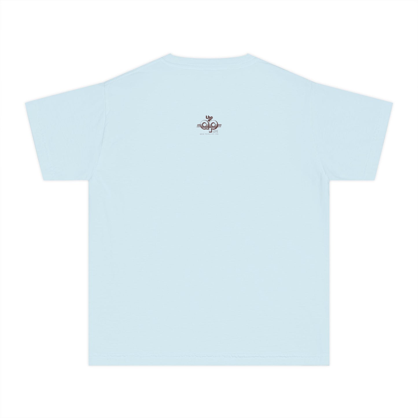 IDEA - 1975 - Individuals with Disabilities Education Act - Youth Unisex Midweight Tee