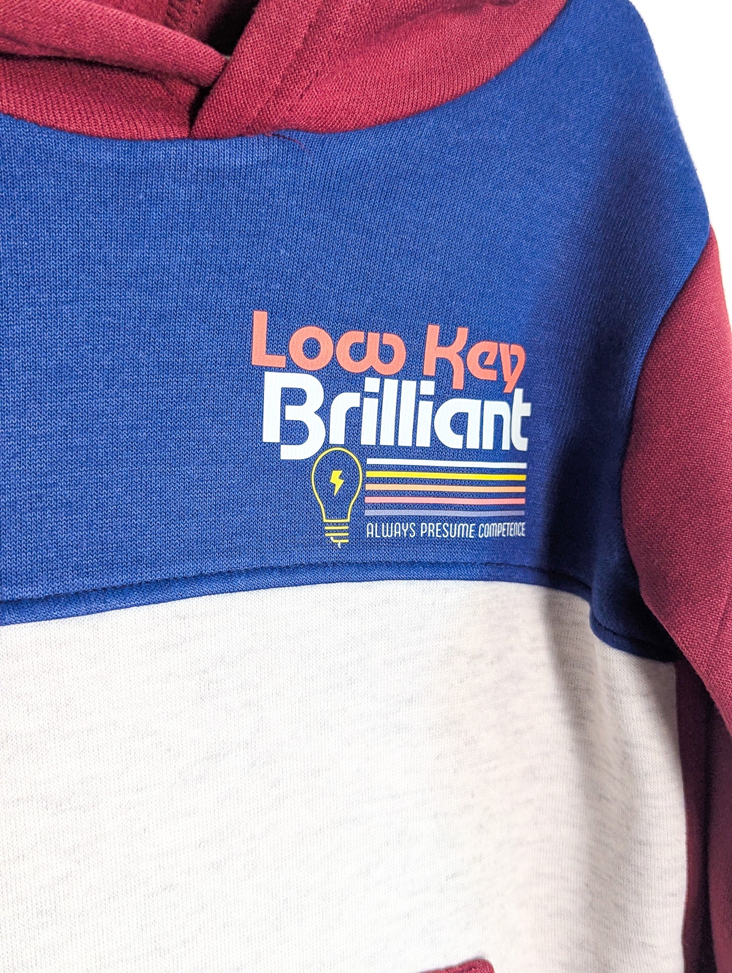 Low Key Brilliant - Always Presume Competence - Kids' 5T Hoodie - Repurposed Rebels