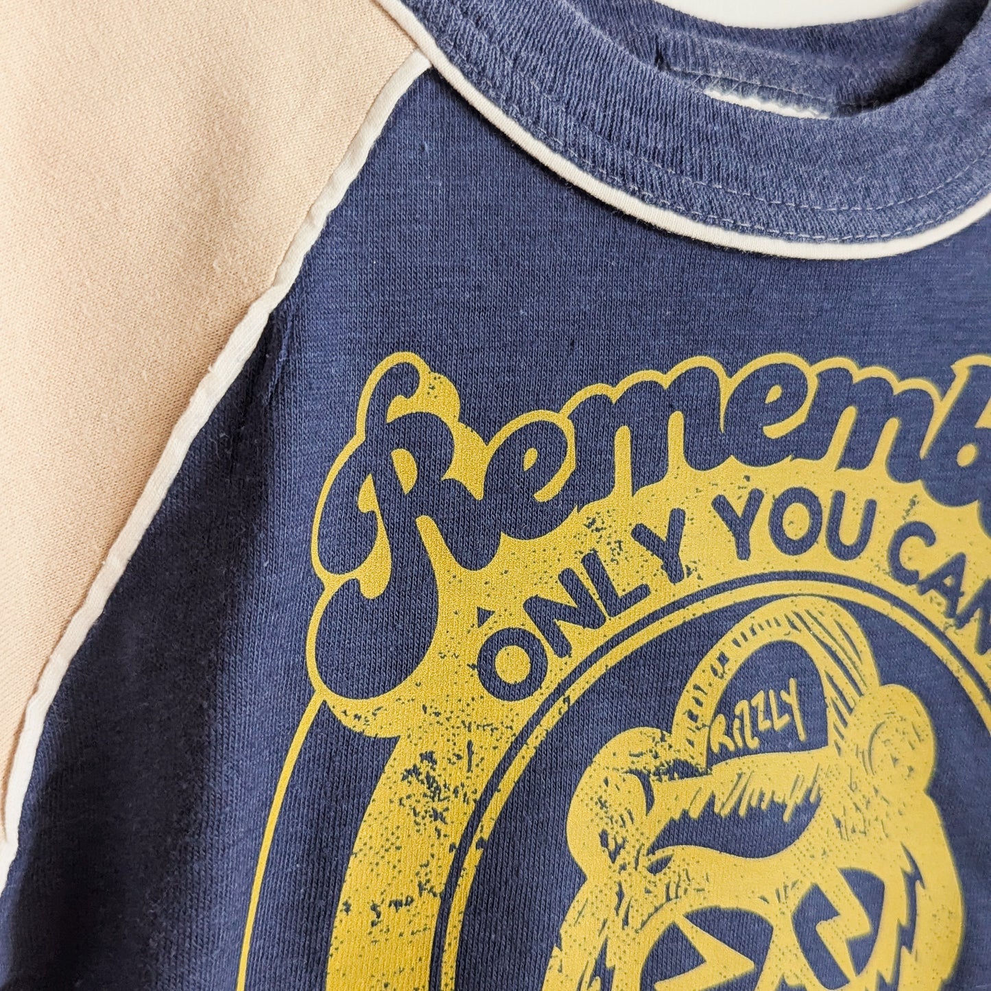 Remember, Only You Can Prevent Exclusion - True Vintage Toddler Boys Sweatshirt Tee (18-24Mo) - Repurposed Rebels