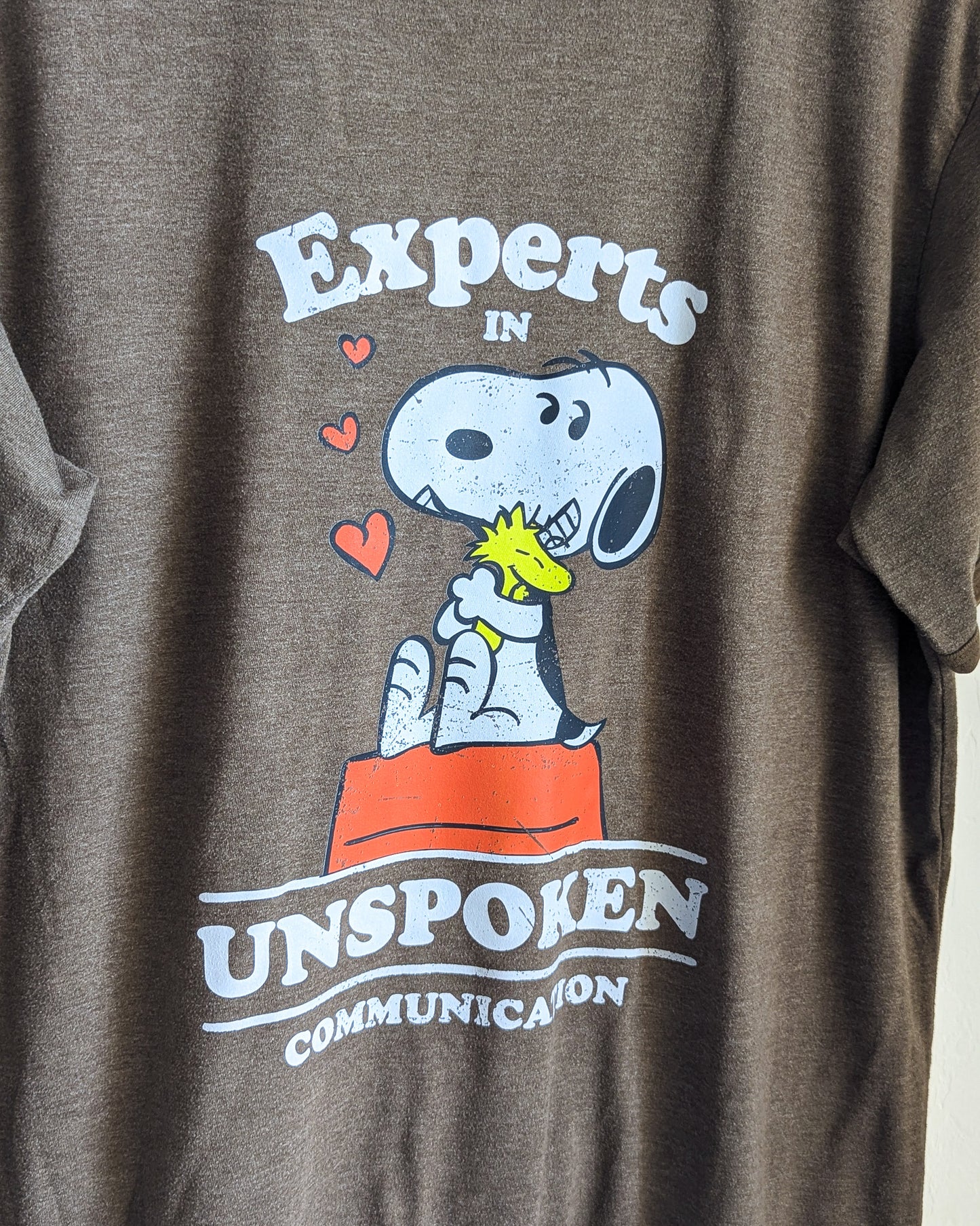 Experts in Unspoken Communication - Adult Unisex Ringer Tee (XL) - Repurposed Rebels