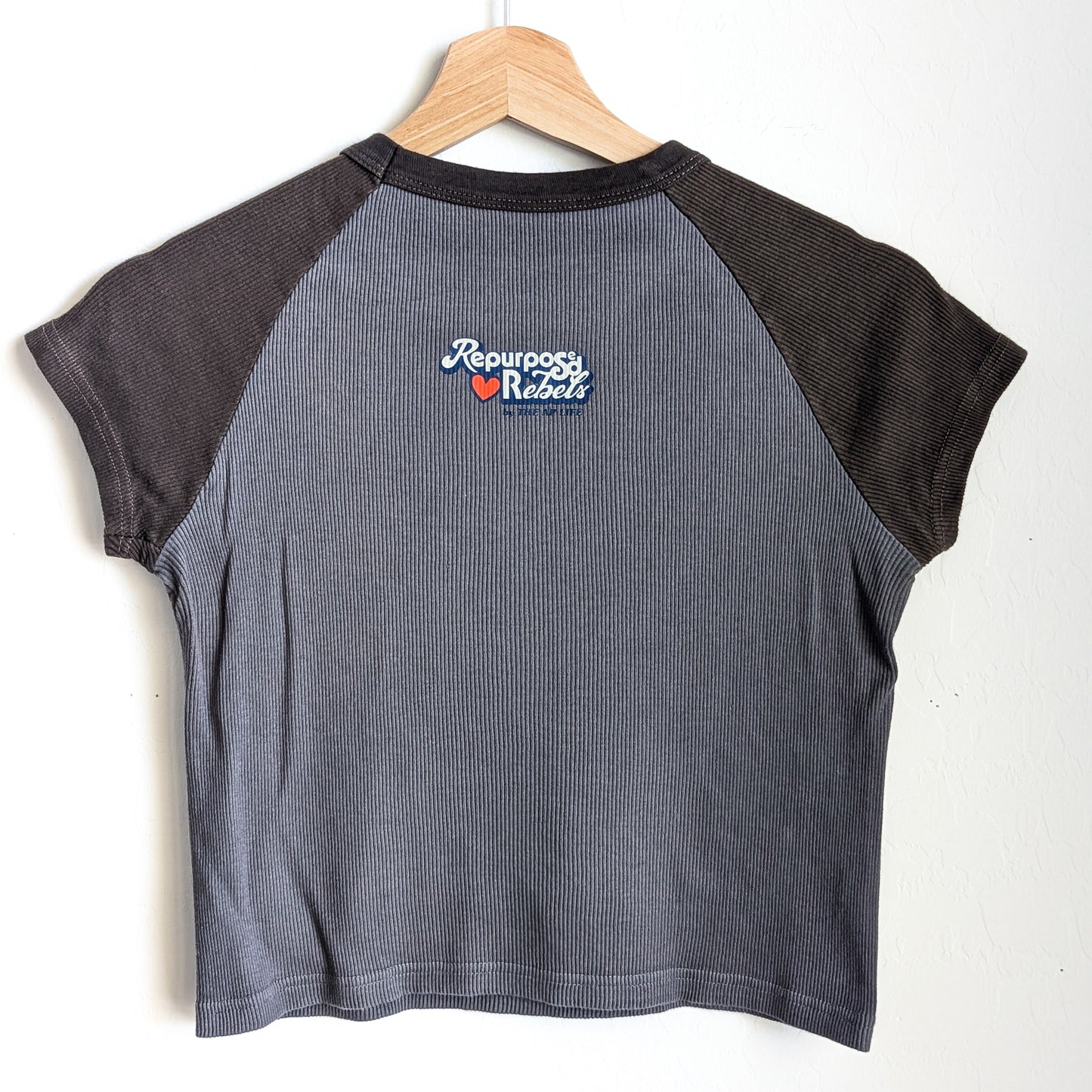 I'd Hit That Every Recess - Women's Cropped Ribbed Baby Tee (S) - Repurposed Rebels