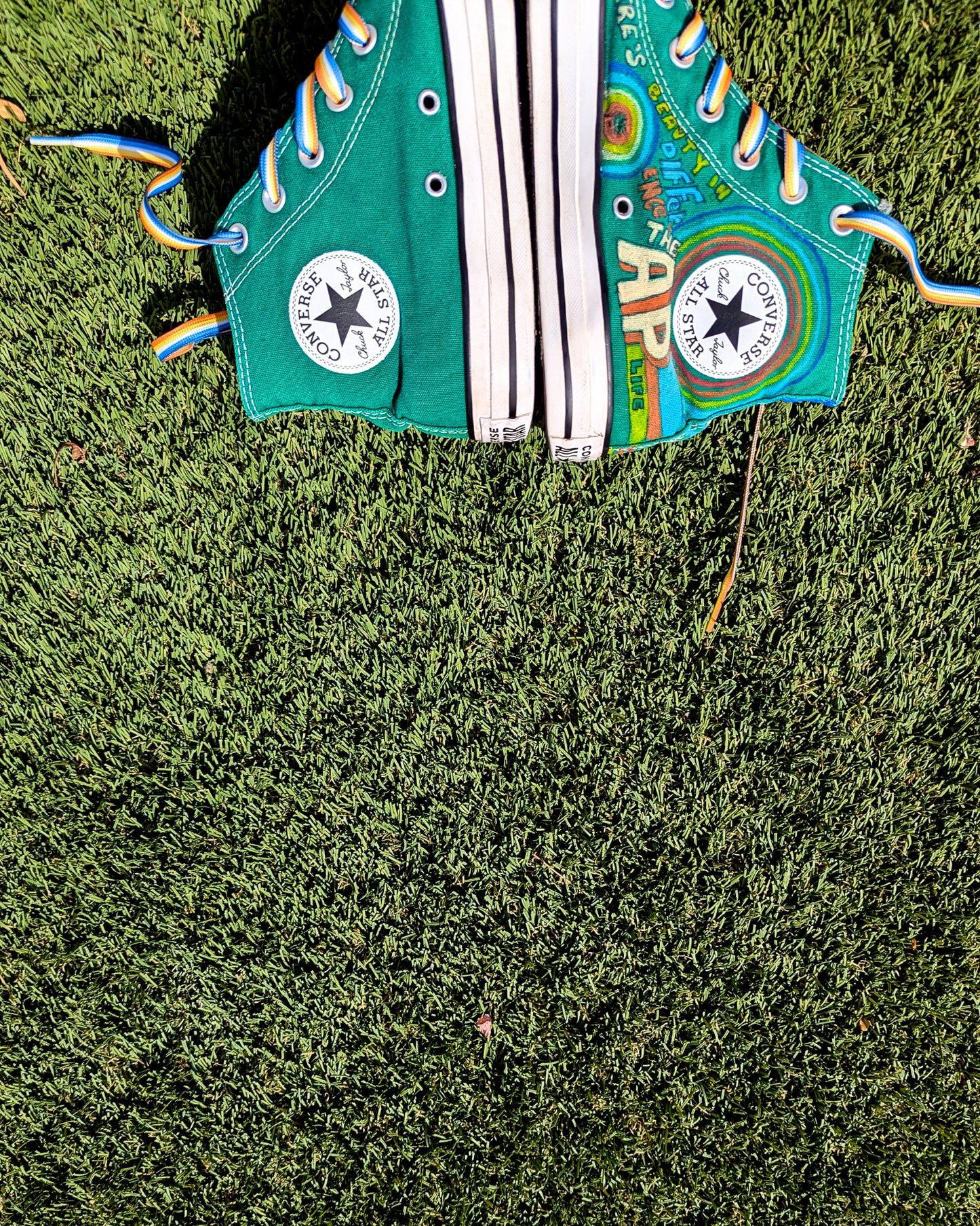 1975 IDEA - Individuals with Disabilities Education Act - Green ADVOKICKS (M6/W8) - Repurposed Hand-Painted Shoes