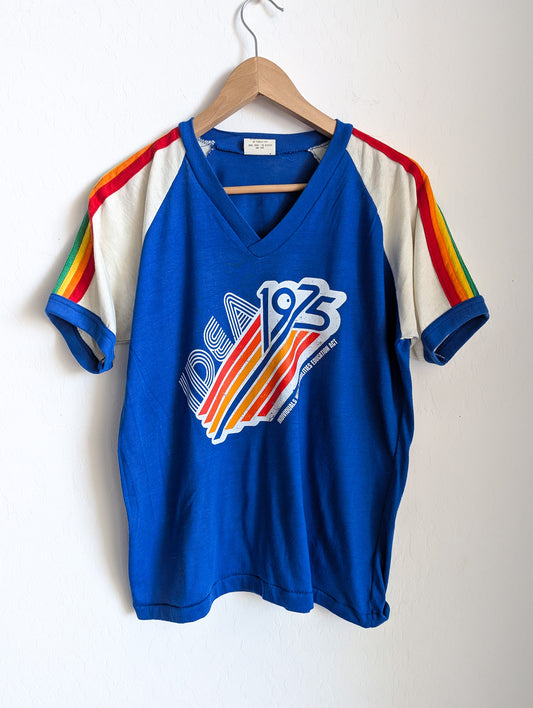 1975 IDEA - Individuals With Disabilities Education Act - Adult Unisex VTG Rainbow Contrast Binding V-Neck Tee (M) - Repurposed Rebels