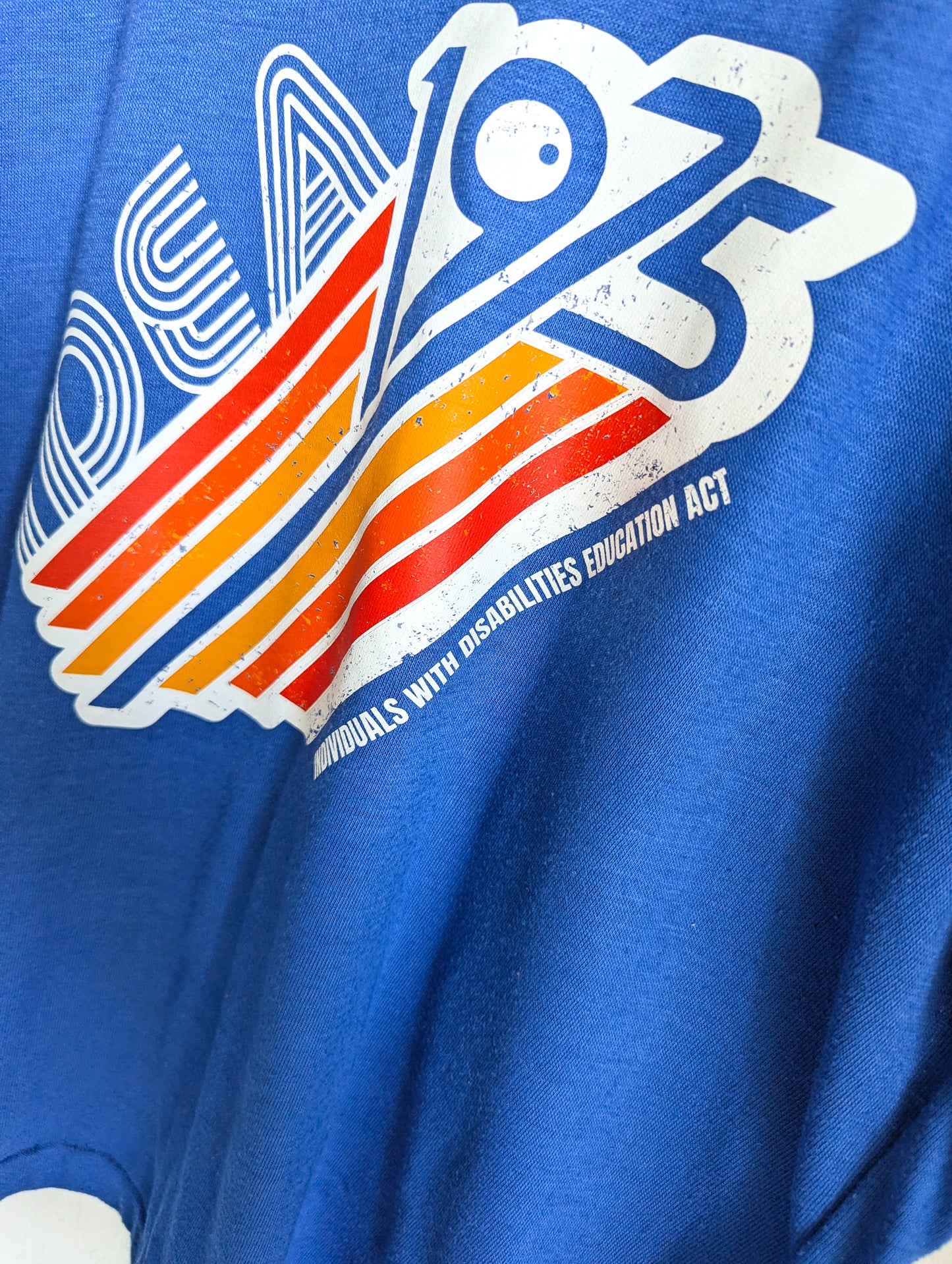 1975 IDEA - Individuals With Disabilities Education Act - Adult Unisex VTG Rainbow Contrast Binding V-Neck Tee (M) - Repurposed Rebels