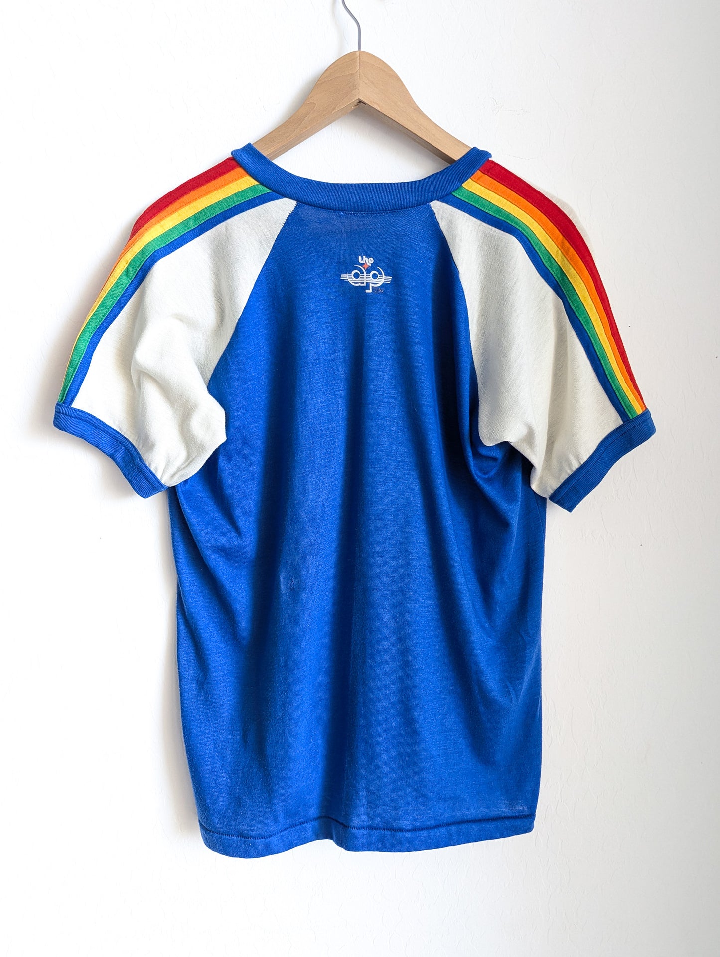 1975 IDEA - Individuals With Disabilities Education Act - Adult Unisex VTG Rainbow Contrast Binding V-Neck Tee (M) - Repurposed Rebels