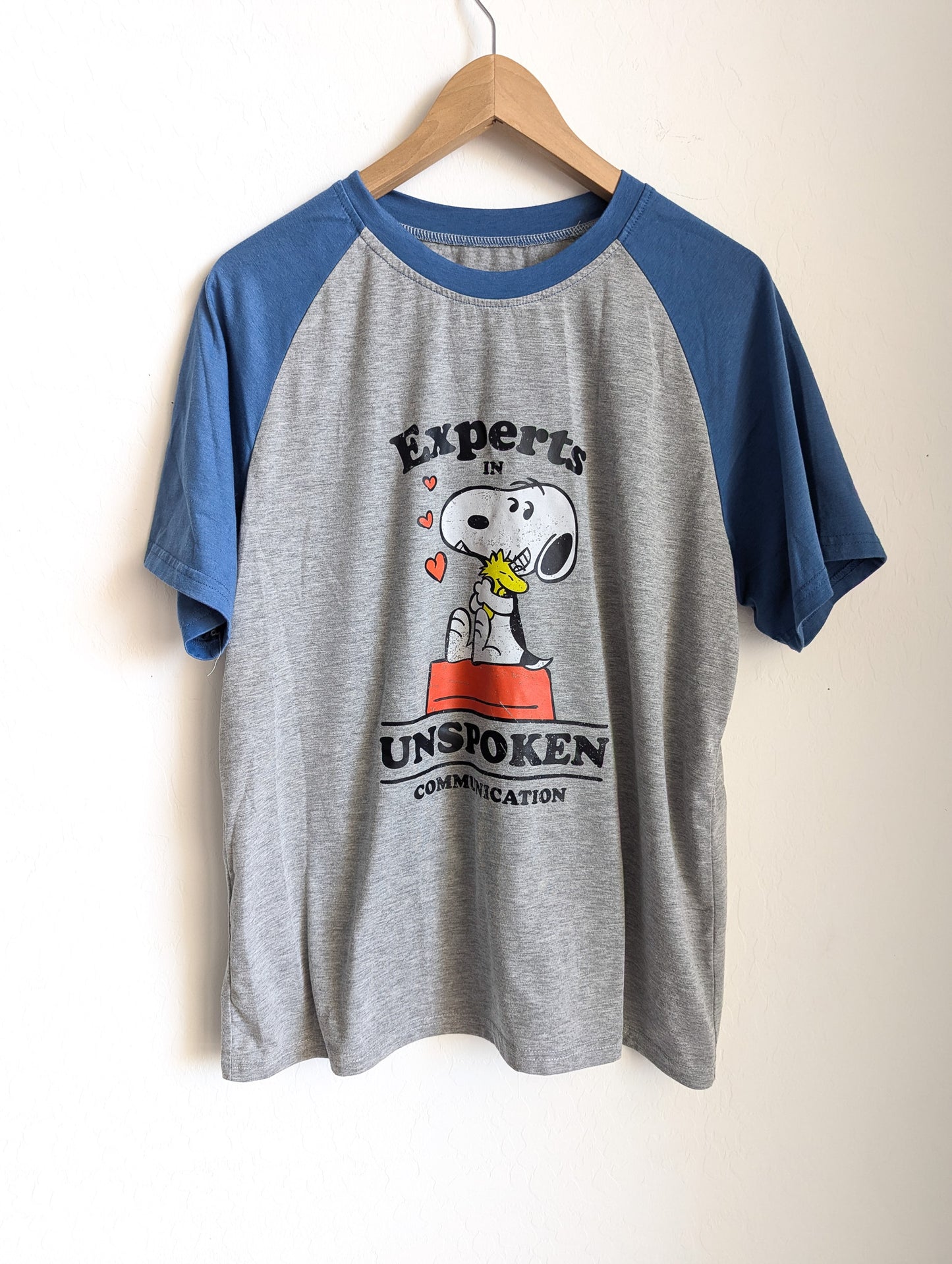 Experts in Unspoken Communication - Women's Oversized Raglan Tee (M) - Repurposed Rebels