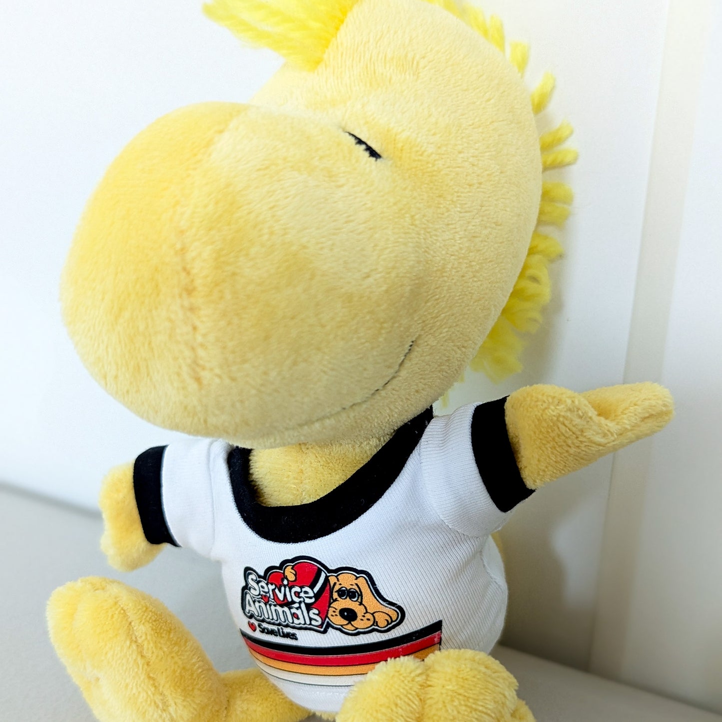 Adopt Snoopy & Woodstock - Includes Clacky AAC - Letterboard - Headphones & Fidgets - RR Rescues