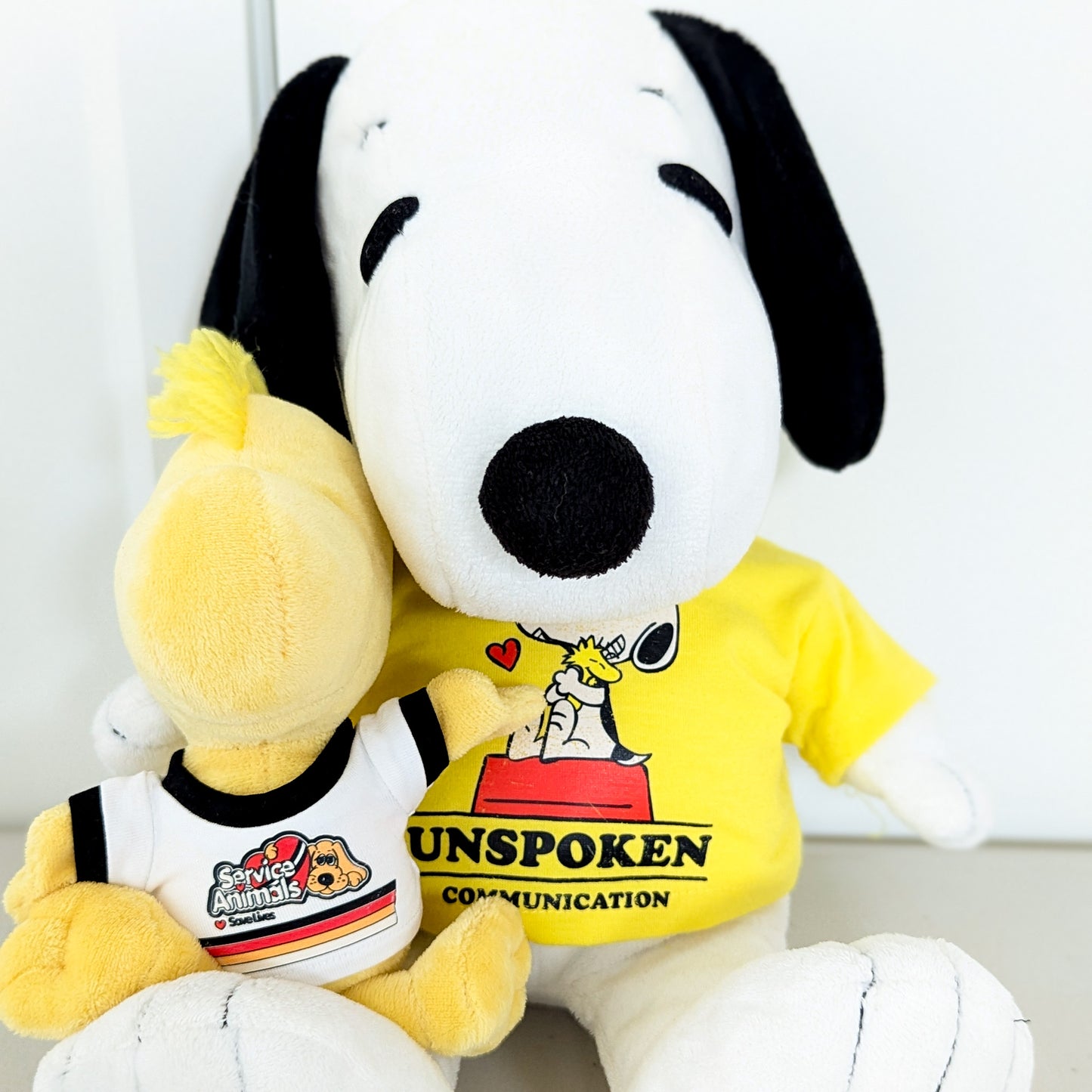 Adopt Snoopy & Woodstock - Includes Clacky AAC - Letterboard - Headphones & Fidgets - RR Rescues