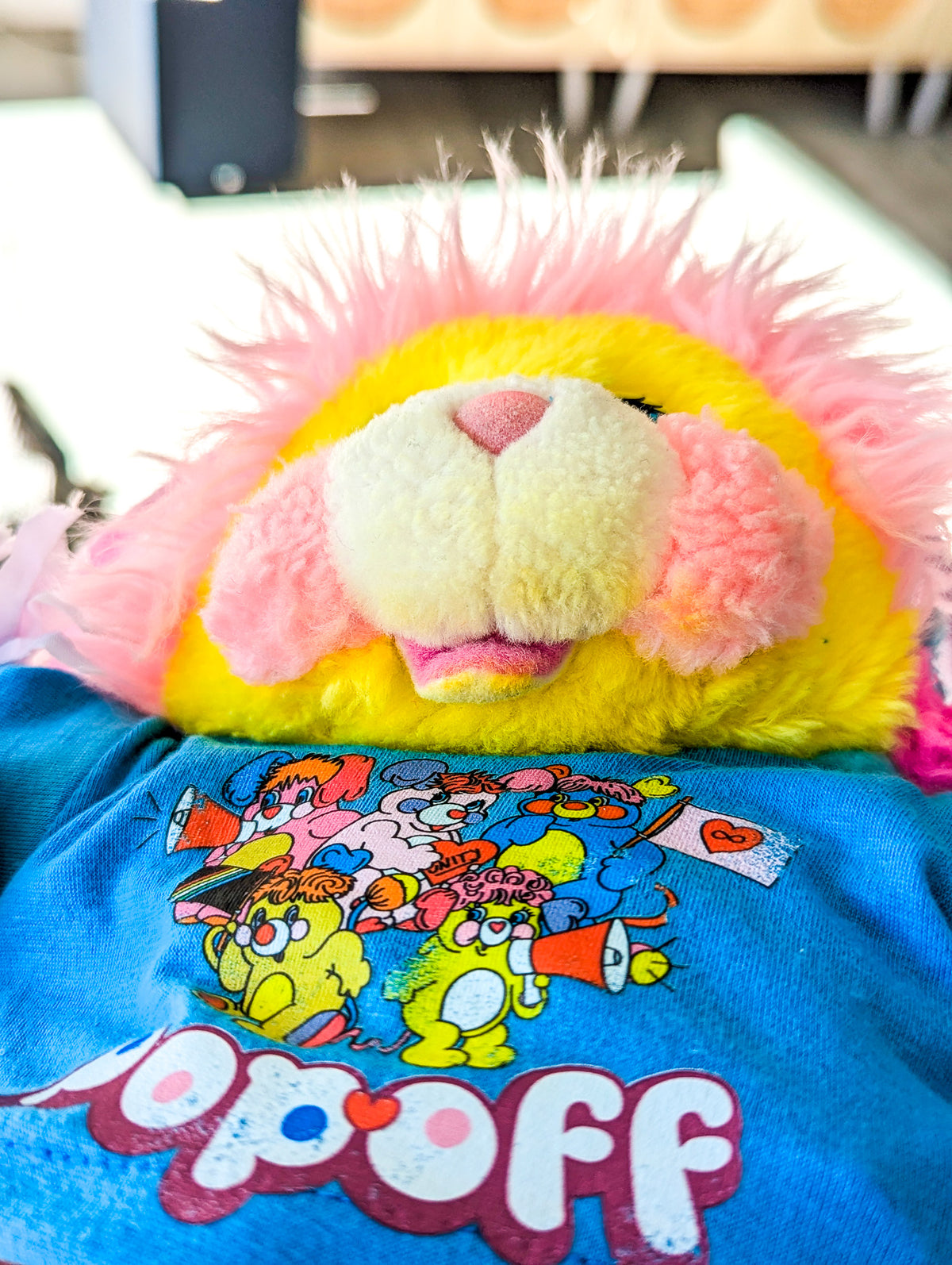 Adopt Cheerleader Potato Chip Popple (1987) - With New & Secondhand Accessories