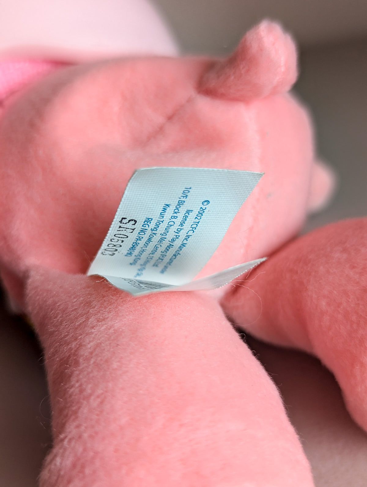 Adopt Equine Therapy Set Mini Cheer Bear Care Bear (2002) and Windy My Little Pony (1984) - With New & Secondhand Accessories