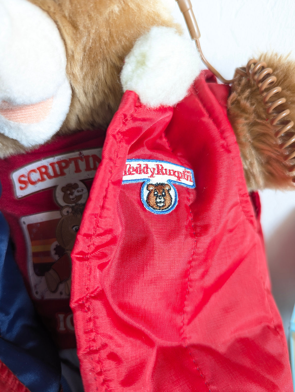 Adopt Gestalt Teddy Ruxpin Non-speaking Worlds of Wonder Plush- With New & Secondhand Accessories